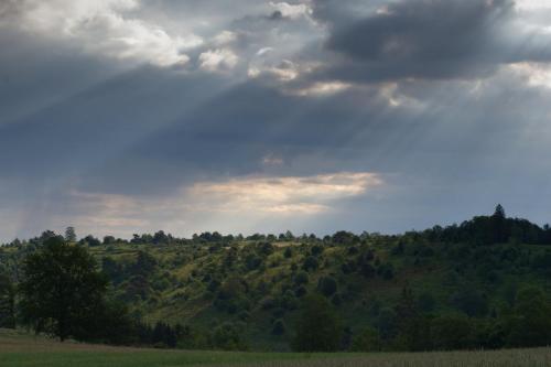 L'été sur la lande