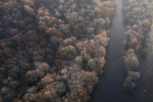 Vallée Vienne