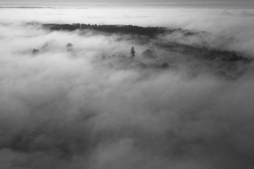 Brume d'été