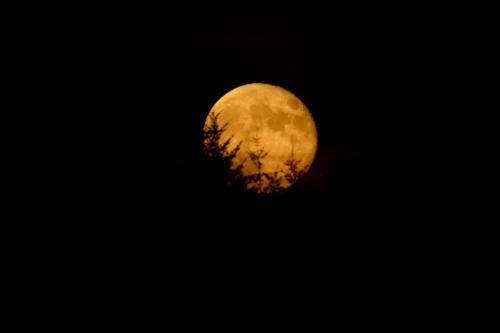 Pleine Lune d'automne