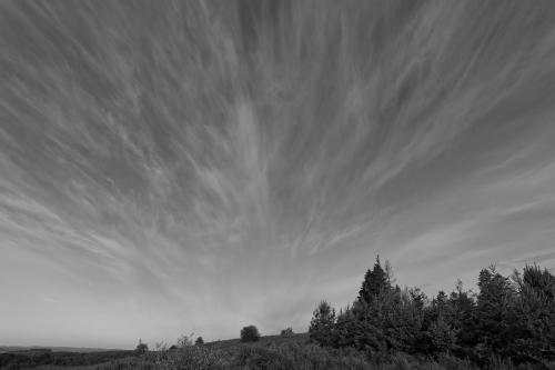 Ciel du plateau